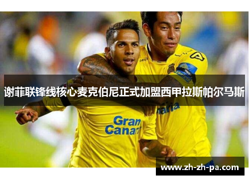 谢菲联锋线核心麦克伯尼正式加盟西甲拉斯帕尔马斯 谢菲联锋线核心麦克伯尼正式加盟西甲拉斯帕尔马斯