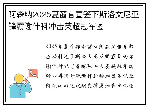阿森纳2025夏窗官宣签下斯洛文尼亚锋霸谢什科冲击英超冠军图